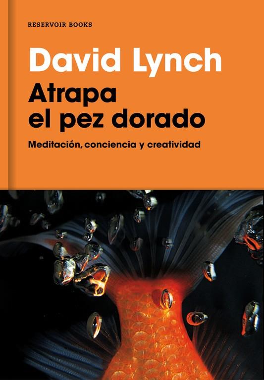 ATRAPA EL PEZ DORADO | 9788416709014 | LYNCH, DAVID | Llibreria Online de Banyoles | Comprar llibres en català i castellà online