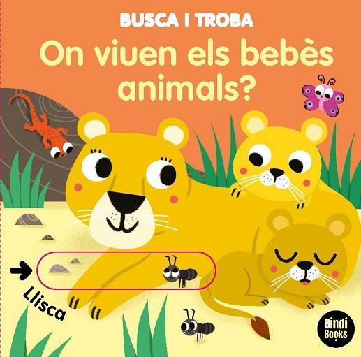 ON VIUEN ELS BEBÈS ANIMALS? | 9788418288005 | BARETTI, SONIA | Llibreria Online de Banyoles | Comprar llibres en català i castellà online