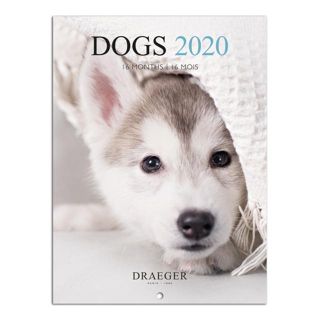 CALENDARI 16 MESOS PETIT 18X18 DOGS 2020 | 3045677979195 | DRAEGER | Llibreria Online de Banyoles | Comprar llibres en català i castellà online