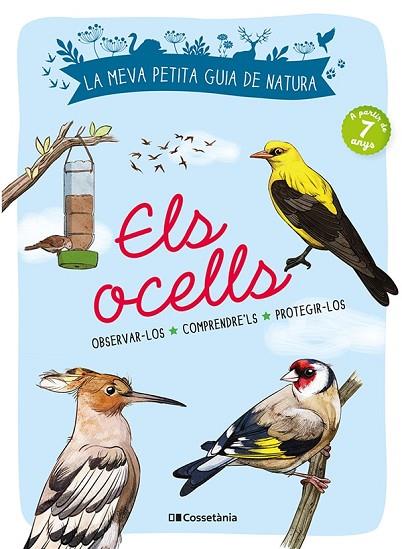 ELS OCELLS | 9788413560359 | LUCHESI, MICHEL | Llibreria Online de Banyoles | Comprar llibres en català i castellà online
