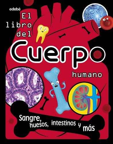 LIBRO DEL CUERPO HUMANO, EL | 9788468362748 | AAVV | Llibreria Online de Banyoles | Comprar llibres en català i castellà online