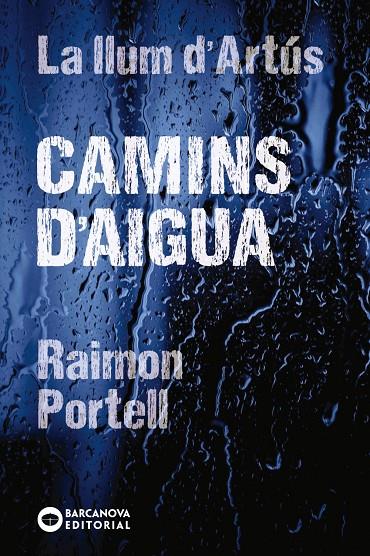 CAMINS D'AIGUA | 9788448942144 | PORTELL, RAIMON | Llibreria Online de Banyoles | Comprar llibres en català i castellà online
