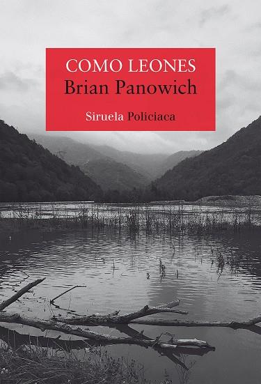 COMO LEONES | 9788418245572 | PANOWICH, BRIAN | Llibreria Online de Banyoles | Comprar llibres en català i castellà online