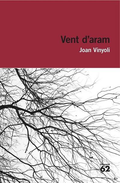 VENT D'ARAM | 9788415954248 | JOAN VINYOLI PLADEVALL | Llibreria Online de Banyoles | Comprar llibres en català i castellà online