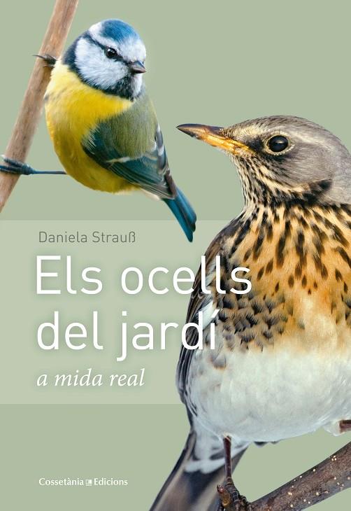 ELS OCELLS DEL JARDÍ | 9788490347461 | STRAUß, DANIELA | Llibreria Online de Banyoles | Comprar llibres en català i castellà online