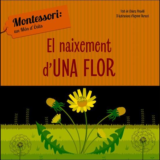 EL NAIXEMENT D'UNA FLOR (VVKIDS) | 9788468261737 | CH. PIRODDI | Llibreria Online de Banyoles | Comprar llibres en català i castellà online