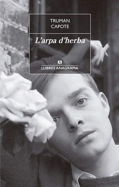 ARPA D'HERBA, L' | 9788433915481 | CAPOTE, TRUMAN | Llibreria Online de Banyoles | Comprar llibres en català i castellà online