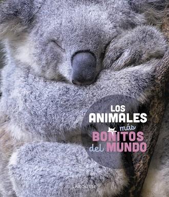 ANIMALES MÁS BONITOS DEL MUNDO, LOS | 9788419436177 | LEDU, STÉPHANIE | Llibreria Online de Banyoles | Comprar llibres en català i castellà online