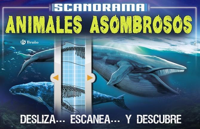 SCANORAMA. ANIMALES ASOMBROSOS | 9788469623657 | CLAYBOURNE, ANNA | Llibreria Online de Banyoles | Comprar llibres en català i castellà online