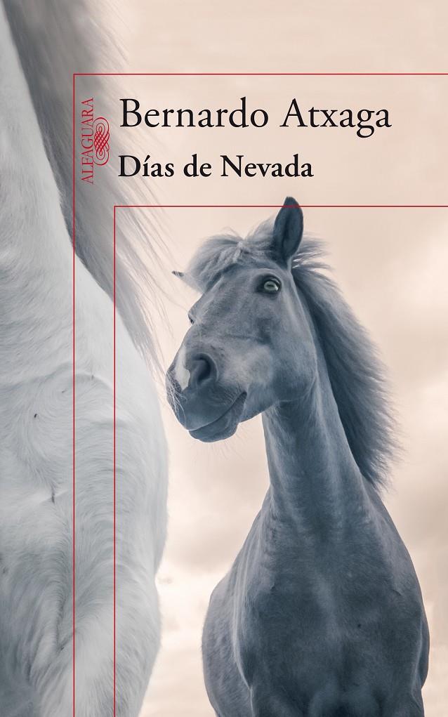 DÍAS DE NEVADA | 9788420415987 | ATXAGA, BERNARDO | Llibreria Online de Banyoles | Comprar llibres en català i castellà online