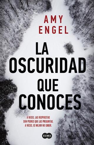 LA OSCURIDAD QUE CONOCES | 9788491294108 | ENGEL, AMY | Llibreria Online de Banyoles | Comprar llibres en català i castellà online