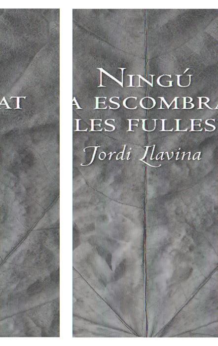 NINGÚ HA ESCOMBRAT LES FULLES | 9788492406197 | LLAVINA, JORDI | Llibreria Online de Banyoles | Comprar llibres en català i castellà online