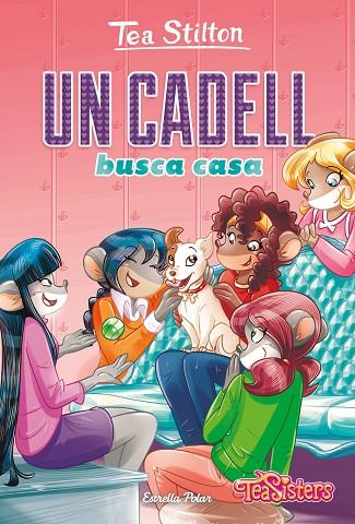CADELL BUSCA CASA, UN | 9788418134852 | STILTON, TEA | Llibreria Online de Banyoles | Comprar llibres en català i castellà online