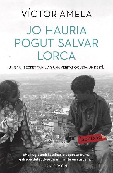 JO HAURIA POGUT SALVAR LORCA | 9788417423001 | AMELA, VÍCTOR | Llibreria Online de Banyoles | Comprar llibres en català i castellà online