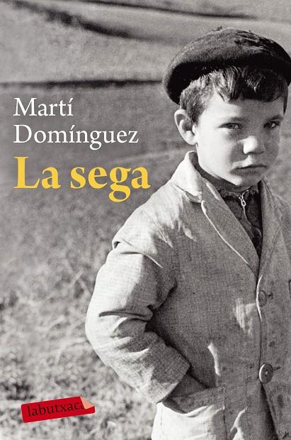 SEGA, LA | 9788417031701 | DOMÍNGUEZ, MARTÍ | Llibreria Online de Banyoles | Comprar llibres en català i castellà online
