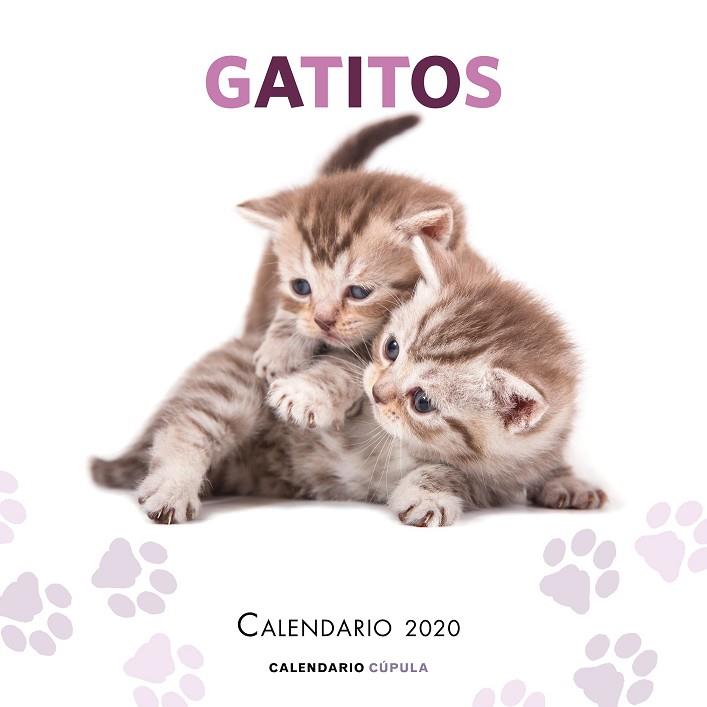 CALENDARIO GATITOS 2020 | 9788448026165 | AA. VV. | Llibreria Online de Banyoles | Comprar llibres en català i castellà online