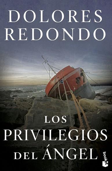 LOS PRIVILEGIOS DEL ÁNGEL | 9788423358687 | REDONDO, DOLORES | Llibreria Online de Banyoles | Comprar llibres en català i castellà online