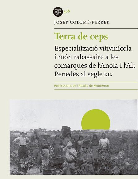 TERRA DE CEPS | 9788491910640 | COLOMÉ-FERRER, JOSEP | Llibreria Online de Banyoles | Comprar llibres en català i castellà online