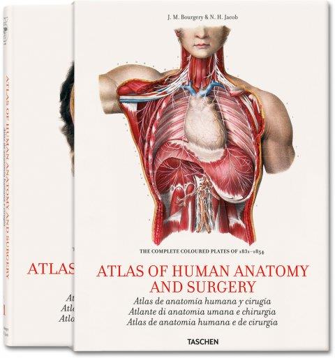 ATLAS OF HUMAN ANATOMY AND SURGERY | 9783836534499 | BOURGERY, J. M./JACOB, N. H. | Llibreria Online de Banyoles | Comprar llibres en català i castellà online