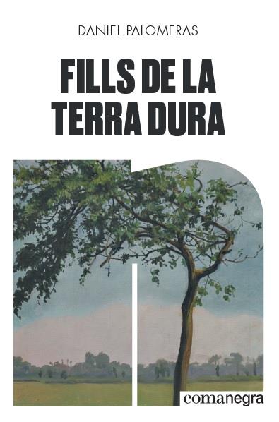 FILLS DE LA TERRA DURA | 9788418022296 | PALOMERAS CASADEJÚS, DANIEL | Llibreria L'Altell - Llibreria Online de Banyoles | Comprar llibres en català i castellà online - Llibreria de Girona