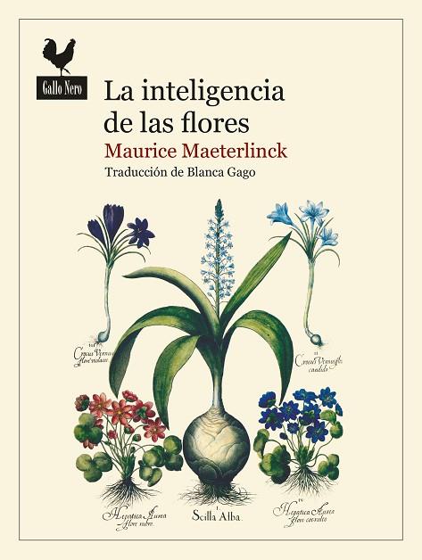LA INTELIGENCIA DE LAS FLORES | 9788419168016 | MAETERLINCK, MAURICE | Llibreria Online de Banyoles | Comprar llibres en català i castellà online