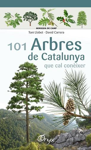 101 ARBRES DE CATALUNYA QUE CAL CONÈIXER | 9788490346778 | LLOBET FRANÇOIS, TONI/CARRERA BONET, DAVID | Llibreria Online de Banyoles | Comprar llibres en català i castellà online