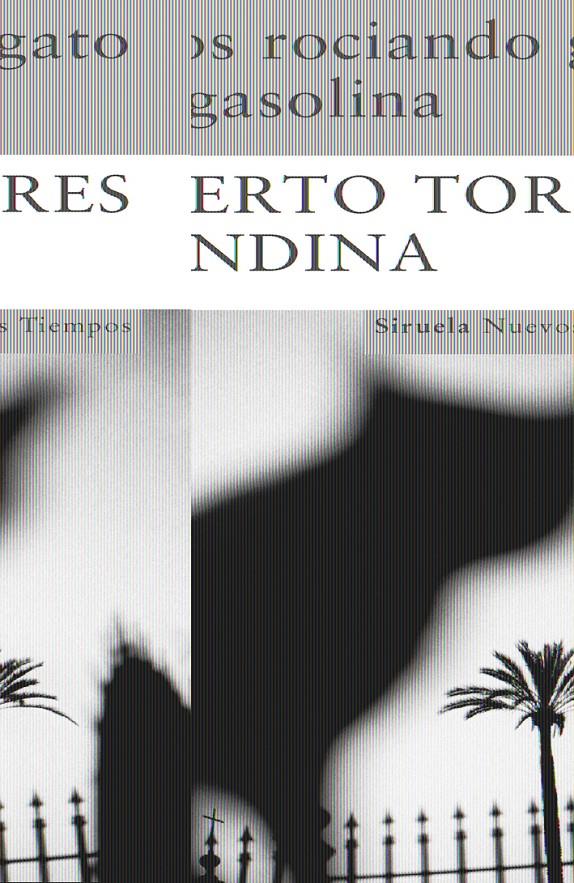NIÑOS ROCIANDO GATO CON GASOLINA NT-138 | 9788498412819 | TORRES BLANDINA, ALBERTO | Llibreria Online de Banyoles | Comprar llibres en català i castellà online