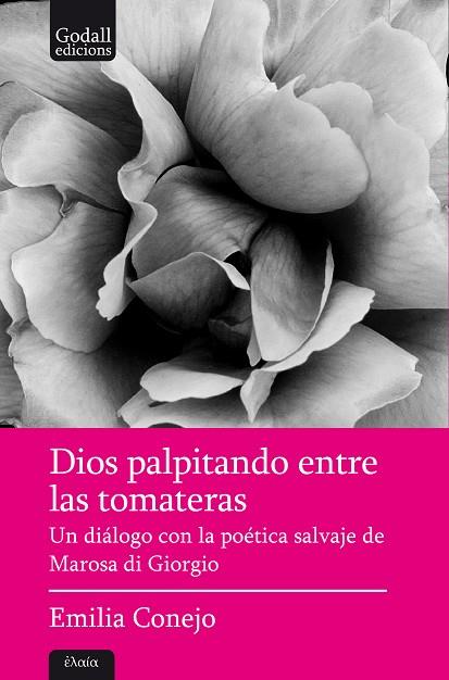 DIOS PALPITANDO ENTRE LAS TOMATERAS | 9788412689617 | CONEJO LÓPEZ-LAGO, EMILIA | Llibreria Online de Banyoles | Comprar llibres en català i castellà online