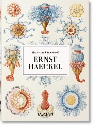ART AND SCIENCE OF ERNST HAECKEL. 40TH ANNIVERSARY EDITION, THE | 9783836584289 | WILLMANN, RAINER/VOSS, JULIA | Llibreria Online de Banyoles | Comprar llibres en català i castellà online