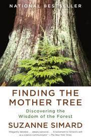 FINDING THE MOTHER TREE | 9780525565994 | SIMARD, SUZANNE | Llibreria Online de Banyoles | Comprar llibres en català i castellà online