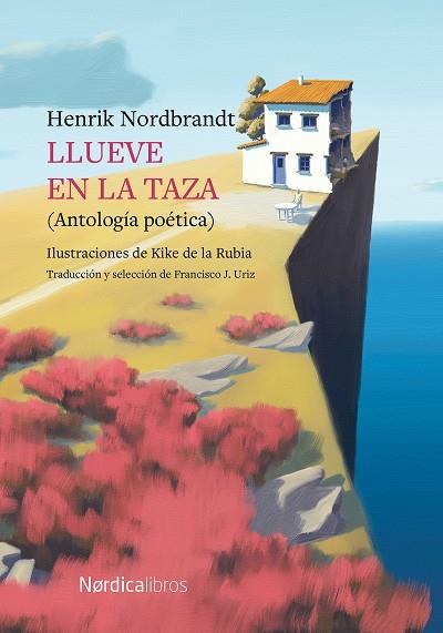 LLUEVE EN LA TAZA | 9788419320230 | NORDBRANDT, HENRIK | Llibreria Online de Banyoles | Comprar llibres en català i castellà online