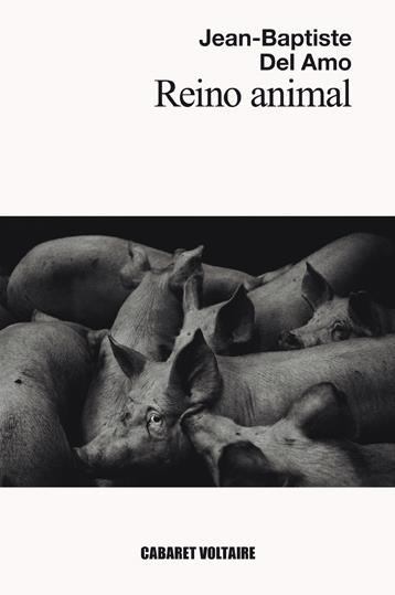 REINO ANIMAL | 9788494710827 | DEL AMO, JEAN-BAPTISTE | Llibreria Online de Banyoles | Comprar llibres en català i castellà online