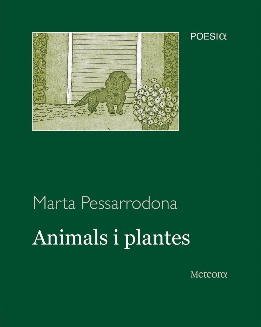 ANIMALS I PLANTES | 9788495623973 | PESSARRODONA, MARTA | Llibreria Online de Banyoles | Comprar llibres en català i castellà online