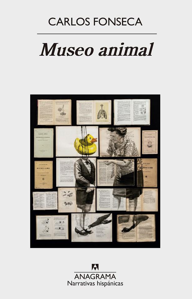 MUSEO ANIMAL | 9788433998408 | FONSECA, CARLOS | Llibreria Online de Banyoles | Comprar llibres en català i castellà online