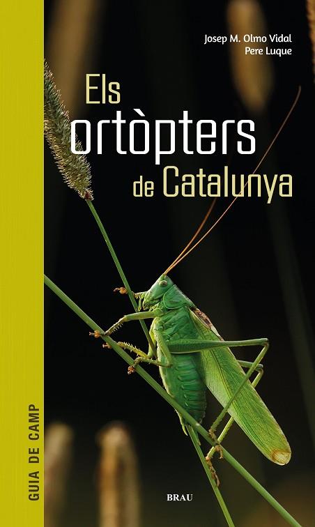 ELS ORTÒPTERS DE CATALUNYA | 9788418096266 | OLMO VIDAL, JOSEP M/LUQUE PINO, PERE | Llibreria Online de Banyoles | Comprar llibres en català i castellà online