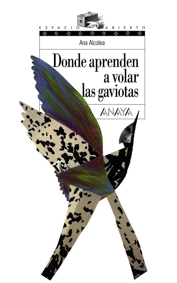DONDE APRENDEN A VOLAR LAS GAVIOTAS | 9788466762489 | ALCOLEA ANNA | Llibreria Online de Banyoles | Comprar llibres en català i castellà online