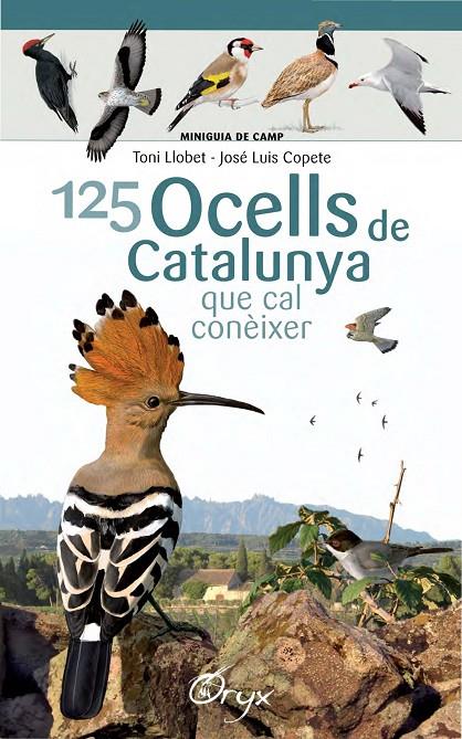 125 OCELLS DE CATALUNYA QUE CAL CONÈIXER | 9788490346747 | LLOBET FRANÇOIS, TONI/COPETE, JOSÉ LUIS | Llibreria Online de Banyoles | Comprar llibres en català i castellà online