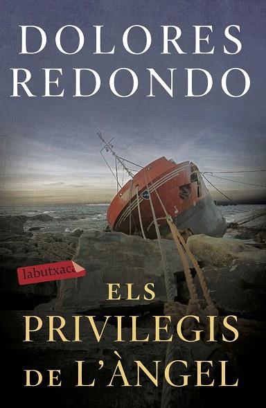 ELS PRIVILEGIS DE L'ÀNGEL | 9788417423971 | REDONDO, DOLORES | Llibreria Online de Banyoles | Comprar llibres en català i castellà online