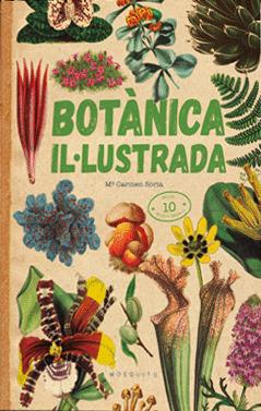 BOTÀNICA IL·LUSTRADA | 9788419095091 | SORIA, CARMEN | Llibreria Online de Banyoles | Comprar llibres en català i castellà online