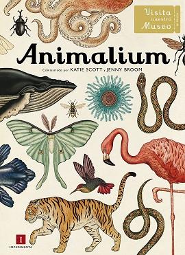 ANIMALIUM | 9788415979463 | Llibreria Online de Banyoles | Comprar llibres en català i castellà online
