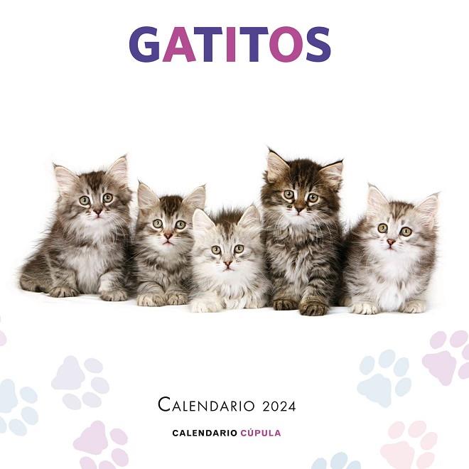 CALENDARI GATITOS 2024 | 9788448038076 | AA. VV. | Llibreria Online de Banyoles | Comprar llibres en català i castellà online