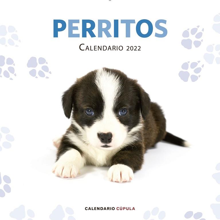 CALENDARIO PERRITOS 2022 | 9788448028701 | AA. VV. | Llibreria Online de Banyoles | Comprar llibres en català i castellà online
