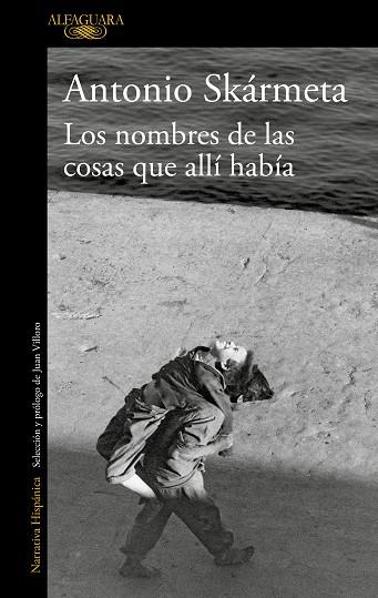 NOMBRES DE LAS COSAS QUE ALLÍ HABÍA, LOS | 9788420435947 | SKÁRMETA, ANTONIO | Llibreria Online de Banyoles | Comprar llibres en català i castellà online