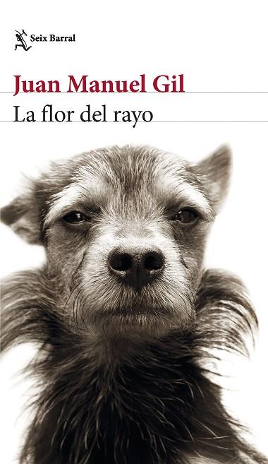 LA FLOR DEL RAYO | 9788432241574 | GIL, JUAN MANUEL | Llibreria Online de Banyoles | Comprar llibres en català i castellà online