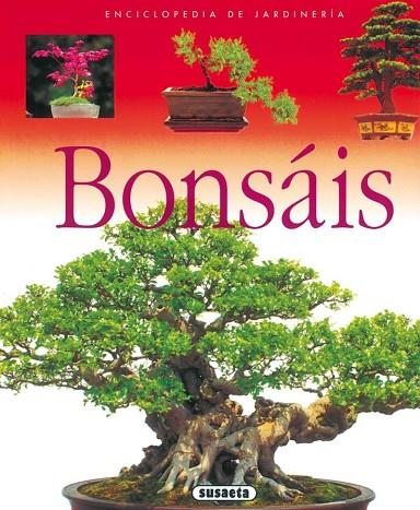 BONSÁIS | 9788430567652 | AAVV | Llibreria Online de Banyoles | Comprar llibres en català i castellà online