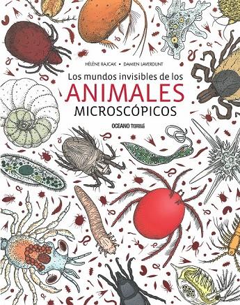 LOS MUNDOS INVISIBLES DE LOS ANIMALES MICROSCOPICOS | 9786075272726 | HÉLÈNE RAJCK/ DAMIEN LAVERDUNT | Llibreria Online de Banyoles | Comprar llibres en català i castellà online