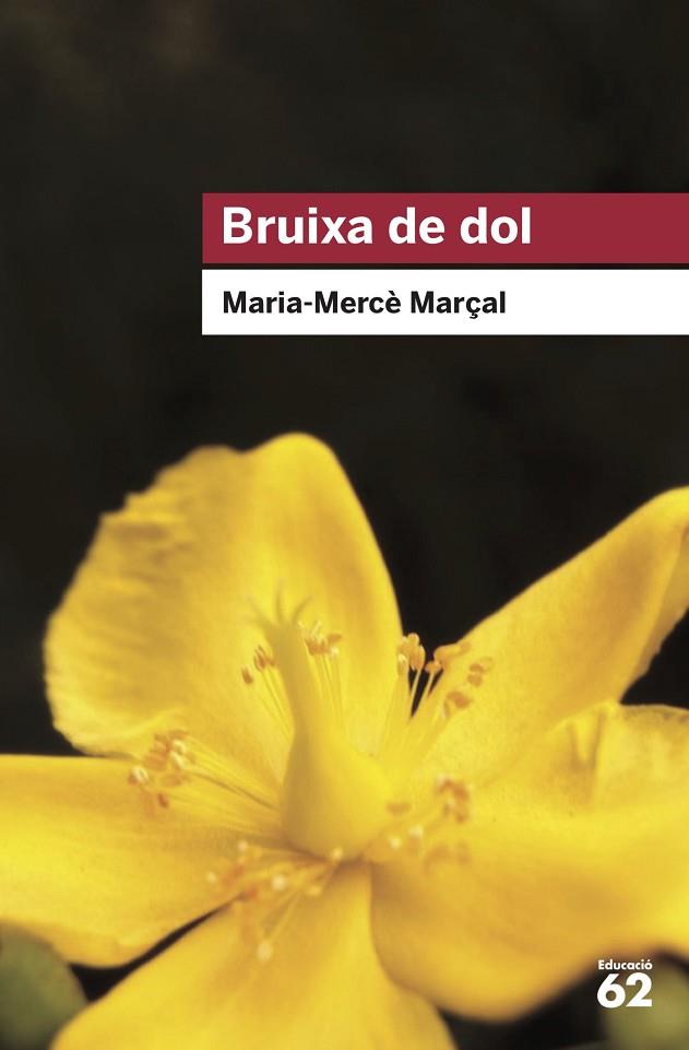 BRUIXA DE DOL (1977-1979) | 9788415954736 | MARÇAL SERRA, M. MERCÈ | Llibreria Online de Banyoles | Comprar llibres en català i castellà online