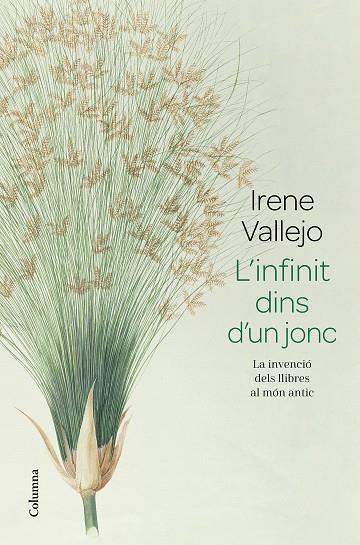 L'INFINIT DINS D'UN JONC | 9788466426947 | VALLEJO, IRENE | Llibreria Online de Banyoles | Comprar llibres en català i castellà online