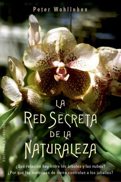 RED SECRETA DE LA NATURALEZA, LA | 9788491114192 | WOHLLEBEN, PETER | Llibreria Online de Banyoles | Comprar llibres en català i castellà online