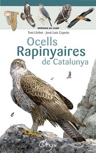 OCELLS RAPINYAIRES DE CATALUNYA | 9788490346785 | LLOBET FRANÇOIS, TONI/COPETE, JOSÉ LUIS | Llibreria Online de Banyoles | Comprar llibres en català i castellà online